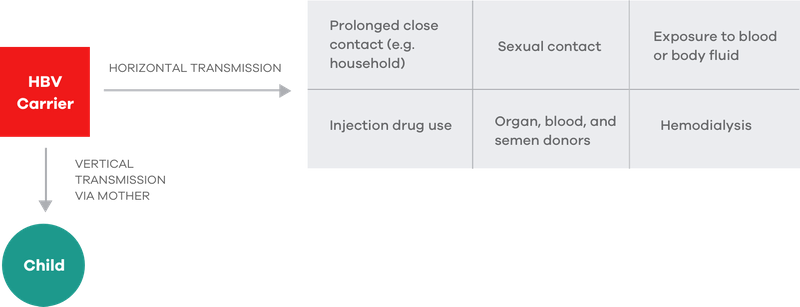 Graphic showing routes of HBV transmission