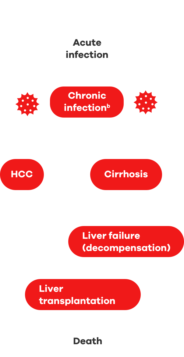 Chart showing CHB progression